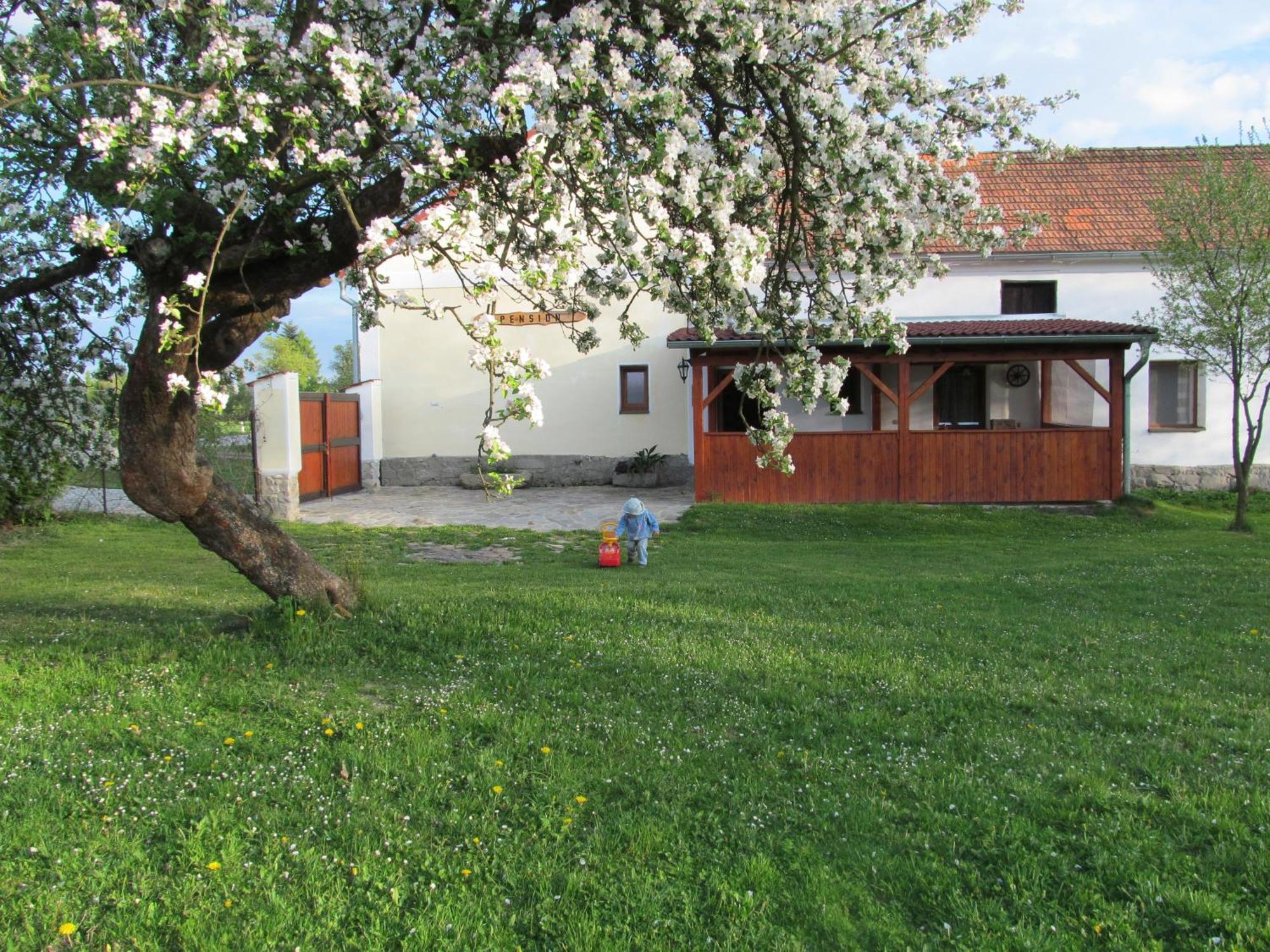 Pension Otevek Trhové Sviny Exterior foto